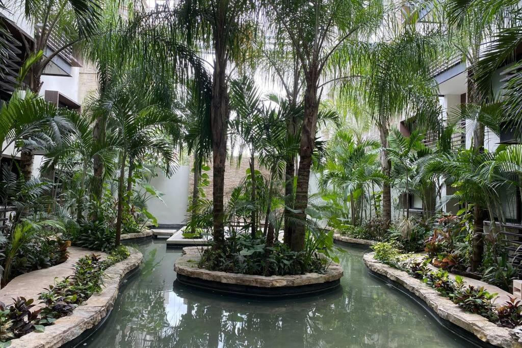 Penthouse Arenis * Playa del Carmen